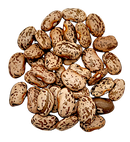 Beans - Organic Pinto